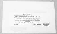 Image Associated With the Occurence